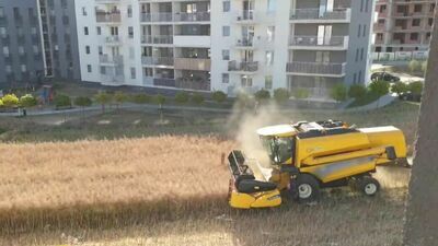 Patodeweloperka w pigułce. Tak to się robi, żeby zarobić