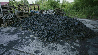 Urzędy mają 30 dni na rozpatrzenie wniosku, ale to się właśnie zmienia