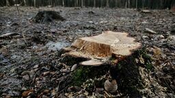 Zdjęcie ilustracyjne