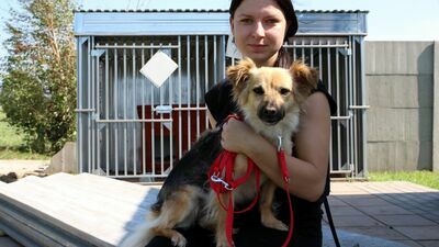 Medalistka olimpijska poprowadzi lekcje w szkole. Ale najpierw trzeba pomóc psom