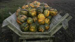 Zdjęcie ilustracyjne