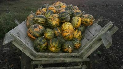 Zdjęcie ilustracyjne