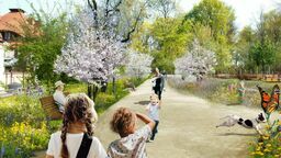 Lublin. Nowe alejki, zieleń i ogrodzenie. Do parku masz wchodzić bez strachu