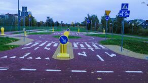 Nietypowy sposób poszukiwania wandali. Apel do "pięciu Panów"