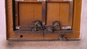 Zdjęcie ilustracyjne