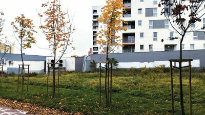 Lublin: Lidl przegrał w sądzie. "Znaczący dyskomfort oraz uciążliwość”