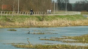 – W przypadku dzielnicy Zemborzyce jako projekty dzielnicowe zgłaszane są inwestycje dotyczące infrastruktury nad Zalewem Zemborzyckim, które mają znaczenie dla mieszkańców całego miasta. Mieszka tu relatywnie niewiele osób i bardzo trudno jest im wprowadzić projekt dzielnicowy – tłumaczy biuro prasowe Ratusza.