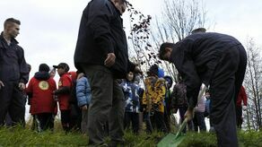 Dzięki akcji Rotary Clubu Zamość w mieście przybyło ponad 200 drzewek. Wybrano takie, które będą kwitły, dawały pokarm ptakom, a w przyszłości, gdy podrosną również cień ludziom