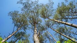 Zdjęcie ilustracyjne