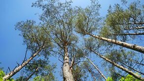 Zdjęcie ilustracyjne