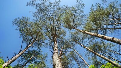 Zdjęcie ilustracyjne