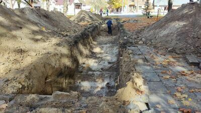 Przebudowa rynku w Wąwolnicy. "Drzewa na pewno nie ucierpią" 