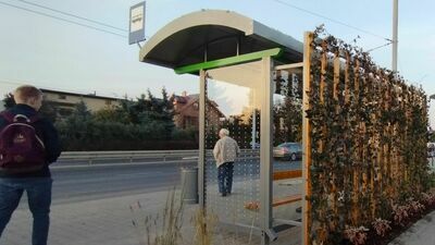 Tak, oczy nikogo nie mylą. Za ten jeden przystanek płacimy 72 tysiące złotych