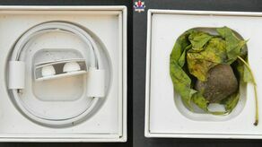 Znajdź 10 różnic. Zamówiła dla dziecka słuchawki, dostała liść i kamień