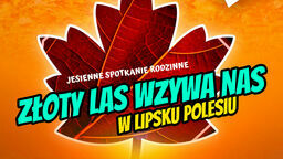 Złoty las wzywa nas - jesienna, rodzinna niedziela w plenerze