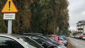 Znaki znakami, zagrożenie zagrożeniem, a zmotoryzowani jak parkowali wzdłuż ulicy Kiepury, tak parkują