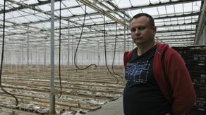 Gdyby nie problemy z opałem, o tej porze w szklarni Rafała Kargola mogłyby jeszcze rosnąć ogórki. A po zbiorach pojawiłyby się sadzonki na kolejny sezon. Niestety, ogrodnika nie stać na utrzymanie obiektu zimą.