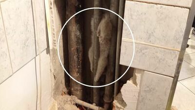 Aby wydobyć kota zaklinowanego w kanale instalacyjnym, strażacy musieli najpierw rozkuć ściany, a później giąć rury