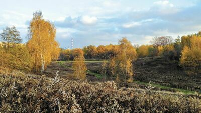 Pięciopiętrowy „budynek usługowo-biurowy” miałby stanąć na zboczu doliny między os. Górki a linią kolejową wzdłuż lasu Stary Gaj. Wraz z nim miałaby powstać droga dojazdowa 