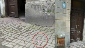 Lublin. Żeby zatruł się tylko szczur. A nie inne zwierzęta