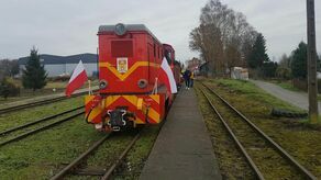 Specjalny kurs 11 listopada