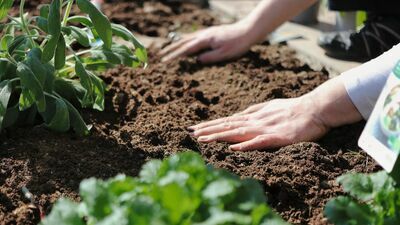 Lubelskie. Nowość w systemie oświaty. To będzie jedyna taka szkoła w Polsce
