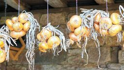 Pomysł na niedzielny obiad. Może zupa cebulowa? Przepisy kulinarne