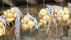 Pomysł na niedzielny obiad. Może zupa cebulowa? Przepisy kulinarne