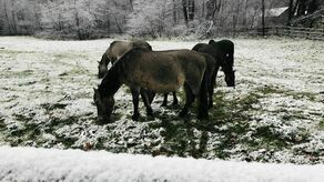Lubelskie. Przyszła zima. Prognoza na najbliższe dni