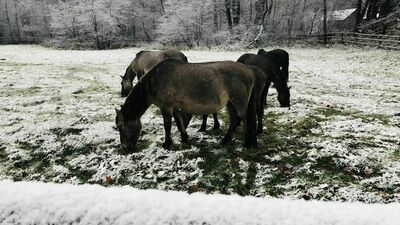 Lubelskie. Przyszła zima. Prognoza na najbliższe dni