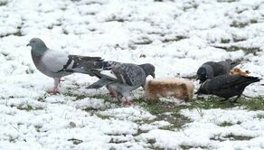 Zdjęcie ilustracyjne