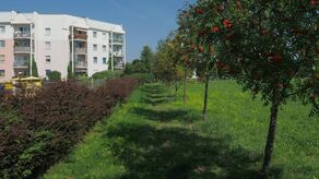 Felin dostanie nowy plac zabaw