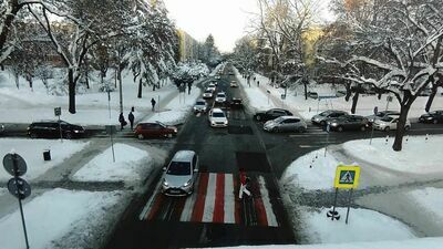 Obok kładki są dwa przejścia dla pieszych przez ul. Sowińskiego z obu stron jezdni ul. Radziszewskiego