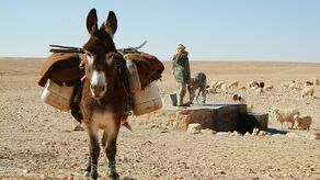 Port Lotniczy Lublin. Nowy, egzotyczny kierunek w siatce lotów