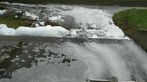 Co popłynęło do Bystrzycy? Będą sprawdzać skąd wzięła się piana