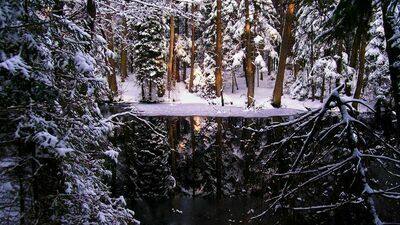 Anna zamieszkała w lesie. Jest decyzja sądu 