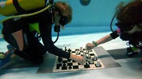 Można zastanawiać się jedynie, czy jest to sport przeznaczony bardziej dla szachistów, czy dla nurków. O jednoznaczną odpowiedź jest jednak bardzo trudno.