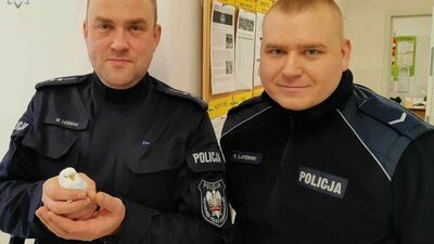 Asp. Leśniak i sierż. Lackowski zajęli się papużką bardzo troskliwie