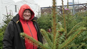Jacek Hryniewski w tym roku jest szczególnie zadowolony ze świerków