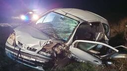 Wypadek toyoty w Dorohuczy. Łoś wybiegł na drogę