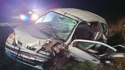 Wypadek toyoty w Dorohuczy. Łoś wybiegł na drogę