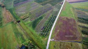 Kłodnica w gminie Wilków. Konserwatorzy i muzealnicy kilka lat zabiegali by kupić interesujący ich grunt