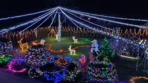 Ponad 100 tys. lampek zdobi posesję w Wólce Zdunkówce