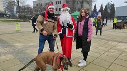 Puławy. Udało się zebrać pół tony karmy dla zwierząt, a Malwina Korpon poprowadzi lekcję w zerówce