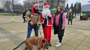 Puławy. Udało się zebrać pół tony karmy dla zwierząt, a Malwina Korpon poprowadzi lekcję w zerówce