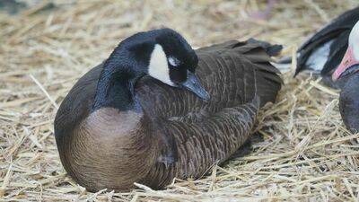 Zdjęcie ilustracyjne