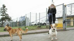 Pani Maja z Nałęczowa bezdomne psy wyprowadza nawet kilka razy w tygodniu. Nie straszny jej przy tym ani deszcz, ani mróz. Czas na spacery znajduje pomiędzy zajęciami na miejscowej uczelni 