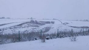 Eksperyment w Cygańskim Lesie. Takie spacery zwiększają zadowolenie z własnego ciała