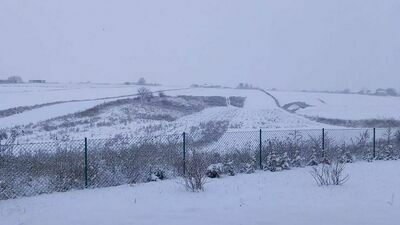 Eksperyment w Cygańskim Lesie. Takie spacery zwiększają zadowolenie z własnego ciała