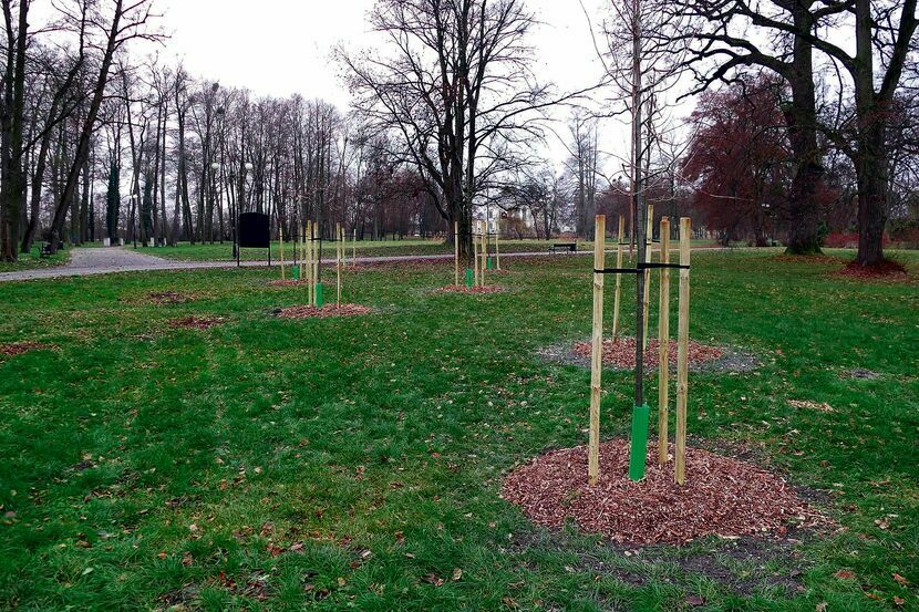 Park Miejski mieszkańcy określają jedynym zielonym zakątkiem miasta. Jest pozostałością dawnego ogrodu Lubomirskich w Niezdowie